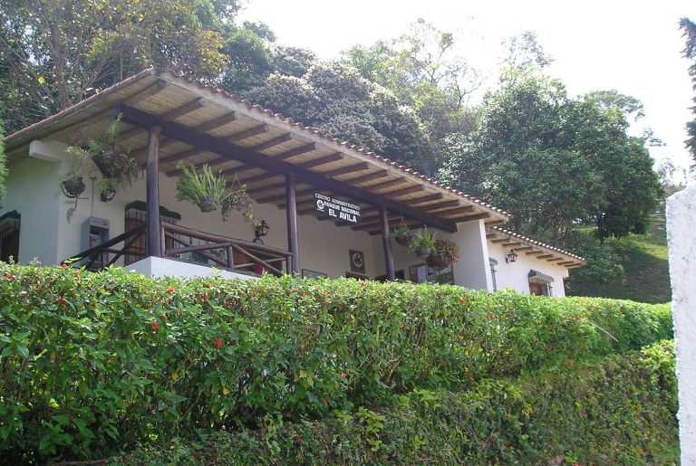 El Ávila National Park Adventure: From Caracas to the Clouds