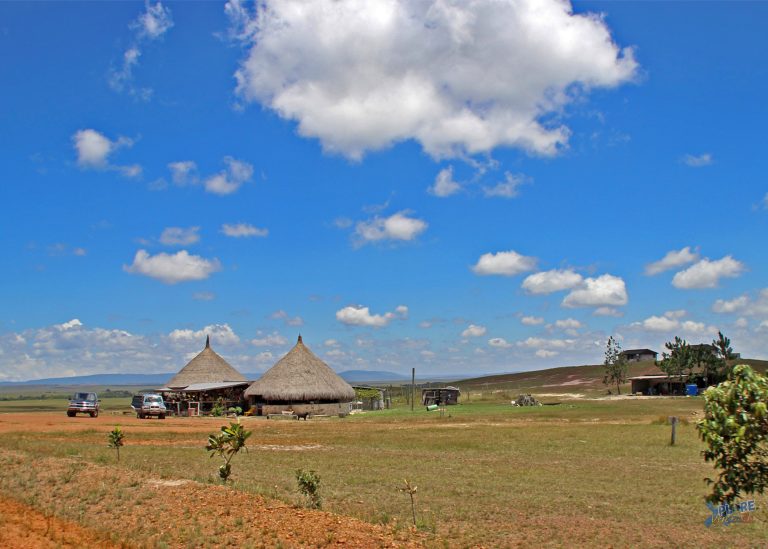 Indigenous Cultures of Venezuela: What Travelers Should Know